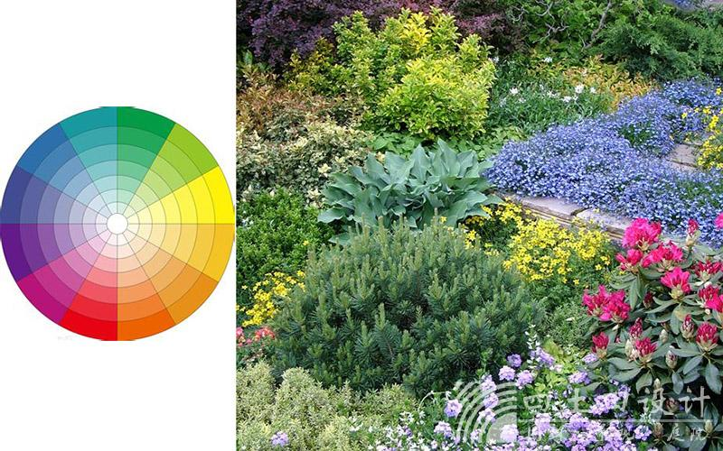 首页- Z6官网中国区人生就是博