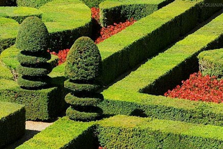 首页- Z6官网中国区人生就是博