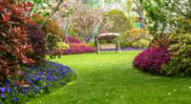 首页- Z6官网中国区人生就是博