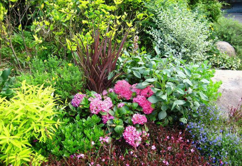 首页- Z6官网中国区人生就是博