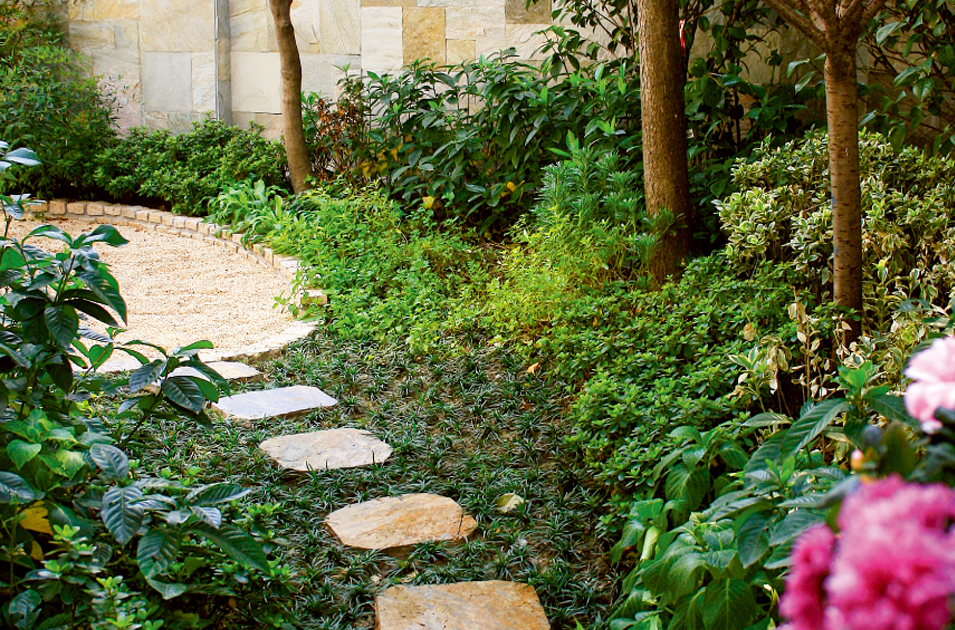 首页- Z6官网中国区人生就是博